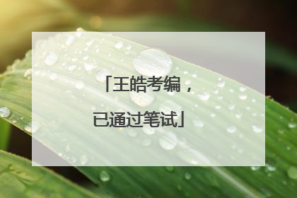 王皓考编，已通过笔试