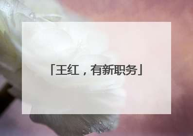 王红，有新职务