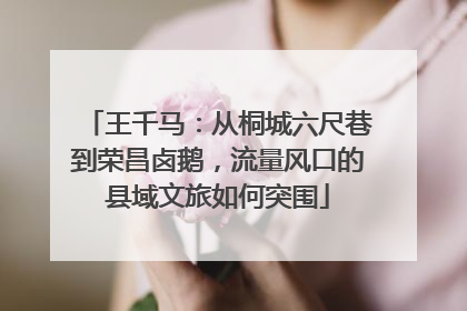 王千马：从桐城六尺巷到荣昌卤鹅，流量风口的县域文旅如何突围