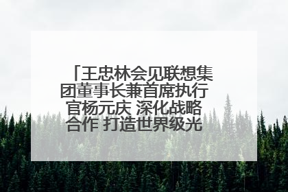 王忠林会见联想集团董事长兼首席执行官杨元庆 深化战略合作 打造世界级光电子信息产业集群