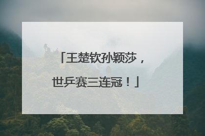王楚钦孙颖莎，世乒赛三连冠！