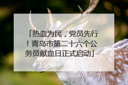 热血为民，党员先行！青岛市第二十六个公务员献血日正式启动