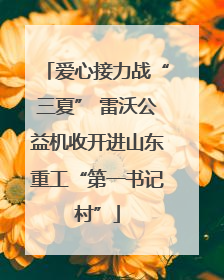 爱心接力战“三夏” 雷沃公益机收开进山东重工“第一书记村”