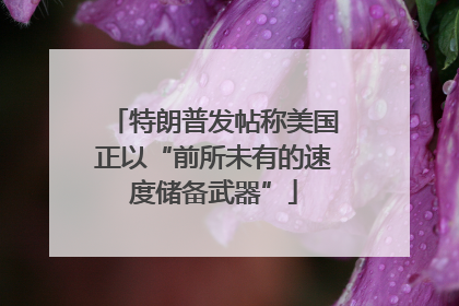 特朗普发帖称美国正以“前所未有的速度储备武器”