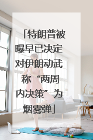 特朗普被曝早已决定对伊朗动武 称“两周内决策”为烟雾弹