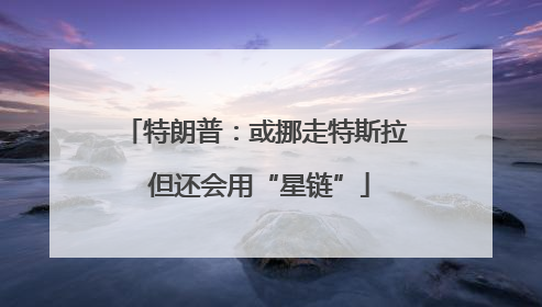 特朗普：或挪走特斯拉 但还会用“星链”