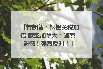 特朗普：钢铝关税加倍 欧盟加拿大：强烈遗憾！强烈反对！