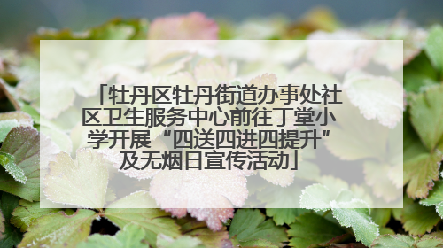 牡丹区牡丹街道办事处社区卫生服务中心前往丁堂小学开展“四送四进四提升”及无烟日宣传活动