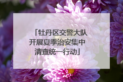 牡丹区交警大队开展夏季治安集中清查统一行动