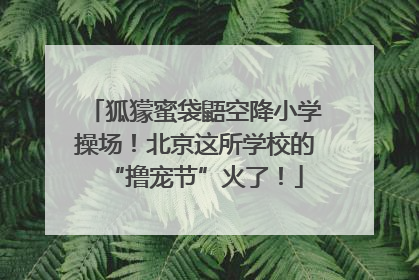 狐獴蜜袋鼯空降小学操场！北京这所学校的“撸宠节”火了！