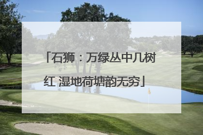 石狮：万绿丛中几树红 湿地荷塘韵无穷