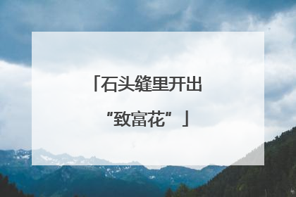 石头缝里开出“致富花”