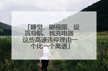 睡觉、刷视频、设置导航、找充电器 这些高速违停理由一个比一个离谱