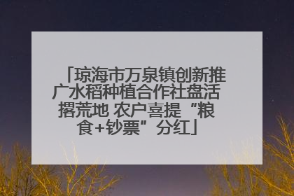 琼海市万泉镇创新推广水稻种植合作社盘活撂荒地 农户喜提“粮食+钞票”分红