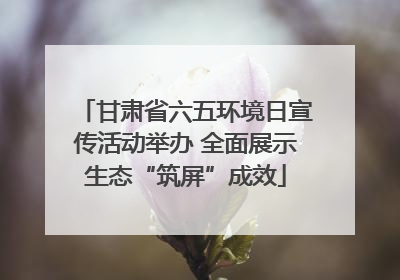 甘肃省六五环境日宣传活动举办 全面展示生态“筑屏”成效