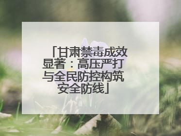 甘肃禁毒成效显著：高压严打与全民防控构筑安全防线
