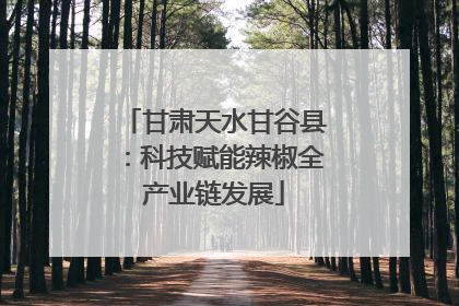 甘肃天水甘谷县：科技赋能辣椒全产业链发展