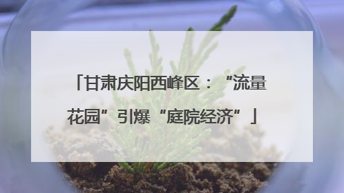 甘肃庆阳西峰区：“流量花园”引爆“庭院经济”