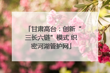 甘肃高台：创新“三长六链”模式 织密河湖管护网