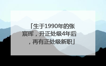 生于1990年的张宸珲，升正处级4年后，再有正处级新职