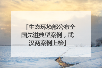 生态环境部公布全国先进典型案例，武汉两案例上榜