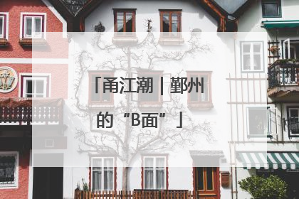 甬江潮｜鄞州的“B面”