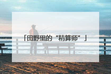 田野里的“精算师”
