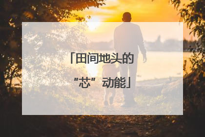 田间地头的“芯”动能