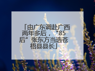 由广东调赴广西两年多后，“85后”张东方当选苍梧县县长