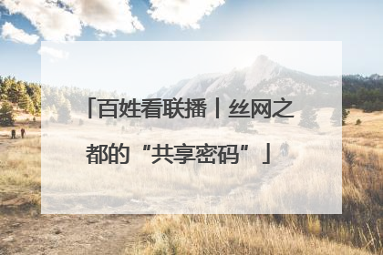百姓看联播丨丝网之都的“共享密码”