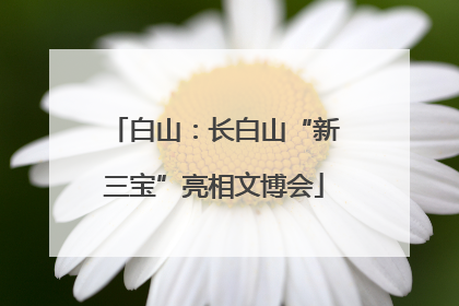 白山：长白山“新三宝”亮相文博会