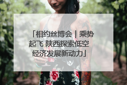 相约丝博会｜乘势起飞 陕西探索低空经济发展新动力