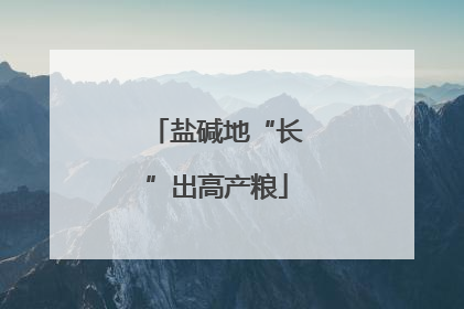 盐碱地“长”出高产粮