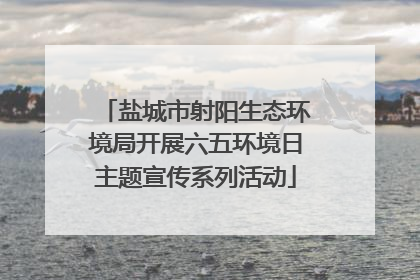 盐城市射阳生态环境局开展六五环境日主题宣传系列活动