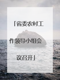 省委农村工作领导小组会议召开