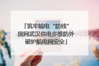筑牢输电“防线” 国网武汉供电多维防外破护航电网安全