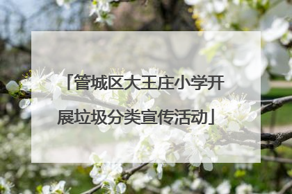 管城区大王庄小学开展垃圾分类宣传活动