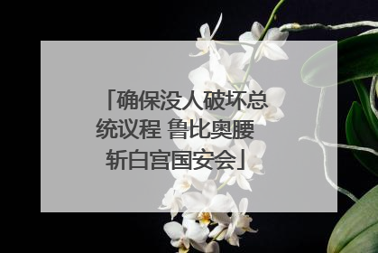 确保没人破坏总统议程 鲁比奥腰斩白宫国安会