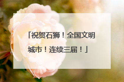 祝贺石狮！全国文明城市！连续三届！
