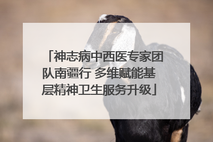 神志病中西医专家团队南疆行 多维赋能基层精神卫生服务升级