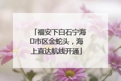 福安下白石宁海⇆市区金蛇头，海上直达航线开通