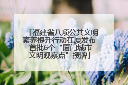 福建省八项公共文明素养提升行动在厦发布 首批6个“厦门城市文明观察点”授牌