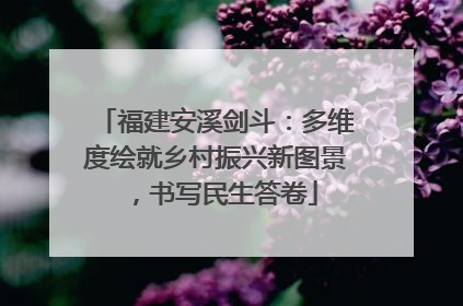 福建安溪剑斗：多维度绘就乡村振兴新图景，书写民生答卷
