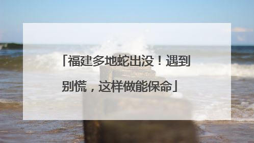 福建多地蛇出没！遇到别慌，这样做能保命