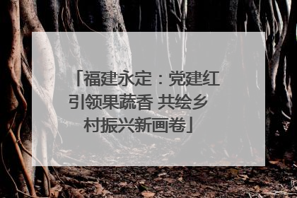 福建永定：党建红引领果蔬香 共绘乡村振兴新画卷