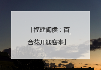福建闽侯：百合花开迎客来