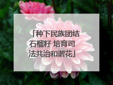 种下民族团结石榴籽 培育司法共治和谐花