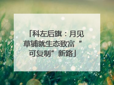 科左后旗：月见草铺就生态致富“可复制”新路