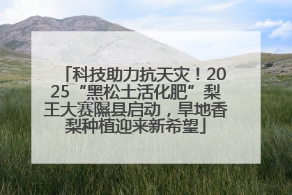 科技助力抗天灾！2025“黑松土活化肥”梨王大赛隰县启动，旱地香梨种植迎来新希望