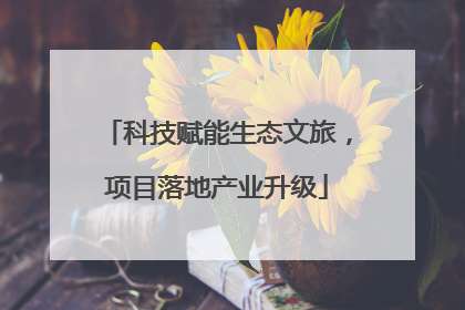 科技赋能生态文旅，项目落地产业升级